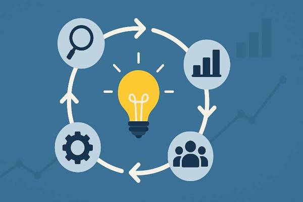 The Life Cycle of an Insight in Modern Enterprises